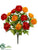 Ranunculus Bush - Orange Yellow - Pack of 12