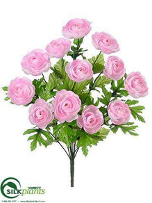 Ranunculus Bush - Pink - Pack of 12