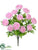 Ranunculus Bush - Pink - Pack of 12