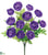 Ranunculus Bush - Purple - Pack of 12