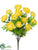 Ranunculus Bush - Yellow - Pack of 12