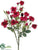 Rose Bush - Crimson Two Tone - Pack of 12