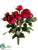 Rose Bush - Beauty - Pack of 12