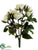 Rose Bush - Cream Green - Pack of 12