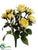 Rose Bush - Yellow - Pack of 12