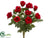 Rose Bush - Red - Pack of 6