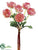 Ranunculus Bundle - Pink - Pack of 12