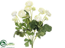Mini Ranunculus Bush - Cream - Pack of 12