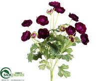 Mini Ranunculus Bush - Violet - Pack of 12