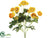 Mini Ranunculus Bush - Yellow - Pack of 12