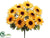 Sunflower Bush - Yellow Gold - Pack of 12