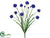Cornflower Bush - Blue - Pack of 6