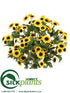 Silk Plants Direct Sunflower Bush - Yellow - Pack of 6