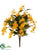 Starflower Hanging Bush - Yellow - Pack of 12