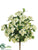 Snowball Bush - Cream - Pack of 12