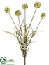 Silk Plants Direct Scabiosa Bush - Green - Pack of 12