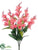 Snapdragon Bush - Coral - Pack of 12