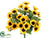 Mini Sunflower Bush - Yellow Gold - Pack of 24