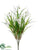 Snowdrop Bush - White - Pack of 12