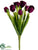 Tulip Bush - Eggplant - Pack of 12