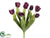 Tulip Bush - Purple - Pack of 12