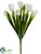 Tulip Bush - White - Pack of 12