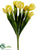 Tulip Bush - Yellow Soft - Pack of 12
