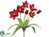 Silk Plants Direct Tulip Bush - Flame Brick - Pack of 12