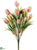 Tulip Bush - Pink Two Tone - Pack of 12