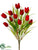 Tulip Bush - Red - Pack of 12