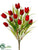 Tulip Bush - Red - Pack of 12