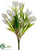 Tulip Bush - White - Pack of 12