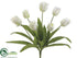 Silk Plants Direct Tulip Bush - Cream Green - Pack of 12