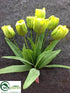 Silk Plants Direct Tulip Bush - Green - Pack of 12
