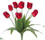 Tulip Bush - Red - Pack of 12