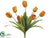 Tulip Bush - Yellow Green - Pack of 12