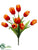Tulip Bush - Flame - Pack of 12