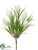 Tulip Bush - Cream - Pack of 12