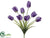 Tulip Bush - Lavender Two Tone - Pack of 12