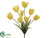 Tulip Bush - Yellow - Pack of 12