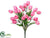 Tulip Bush - Pink - Pack of 24