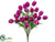Tulip Bush - Violet - Pack of 24