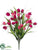 Tulip Bush - Beauty Pink - Pack of 12