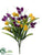 Tulip Bush - Purple Yellow - Pack of 12