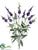 Veronica Bush - Purple - Pack of 12