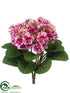 Silk Plants Direct African Violet Bush - Fuchsia Cream - Pack of 12