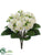 African Violet Bush - White - Pack of 12