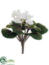 Silk Plants Direct African Violet Bush - White - Pack of 12