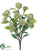 Viburnum Bush - Cream White - Pack of 12