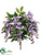 Wisteria Bush - Purple Blue - Pack of 12